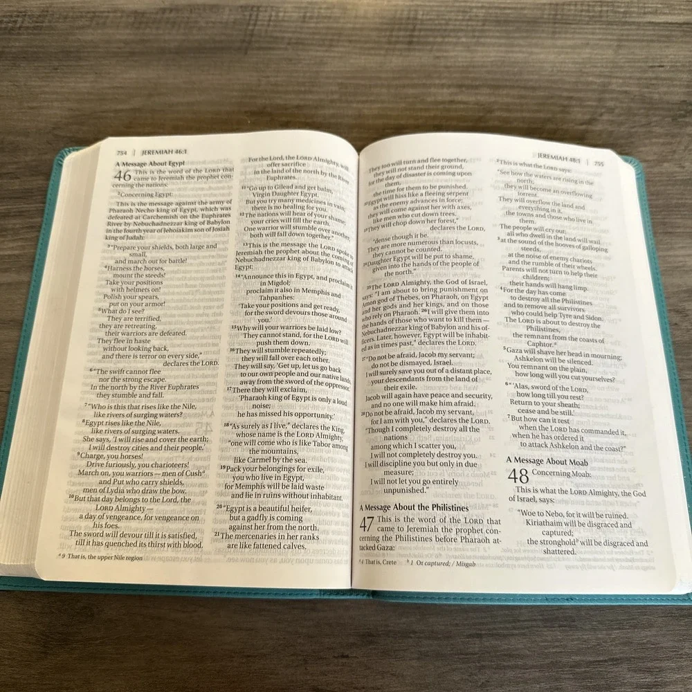 Zondervan Holy Bible Thinline Teal NIV New International Version Large Print